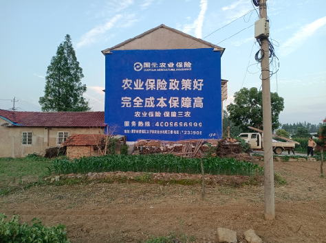 江城墙体广告的优劣势你知道吗？